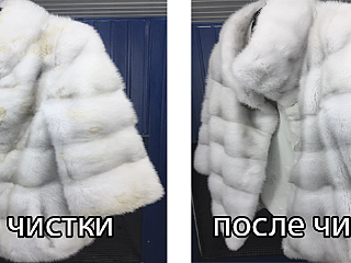 chistka_fur_3