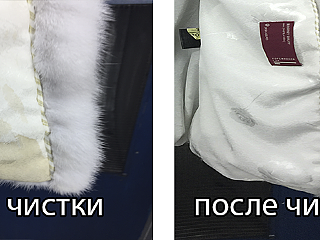 chistka_fur_5